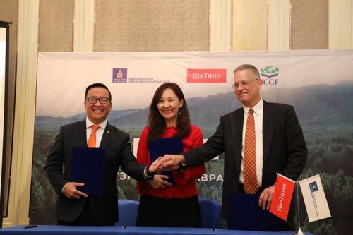 “Рио Тинто Монгол” групп 7.4 тэрбумаар  нэг тэрбум мод аварна